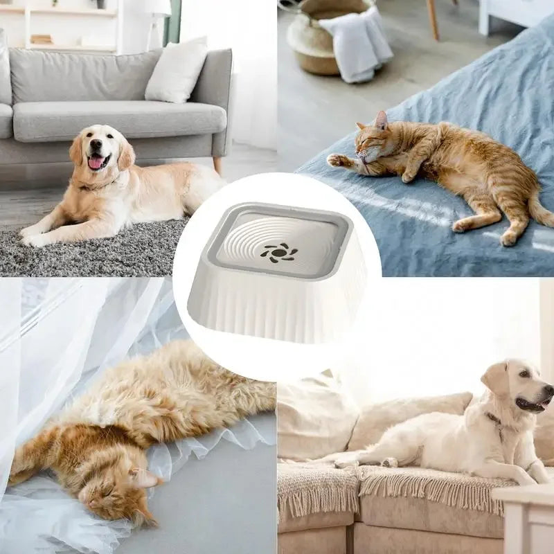 Fuente de Agua para Mascotas con Filtro – Bebedero Antiderrames.