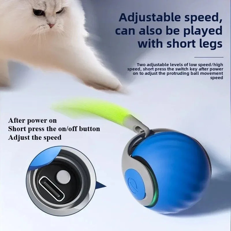 Interactive Cat Toys Ball Automatic Rolling Smart Ball with Faux Tail USB Rechargeable Electric Pet Toy for Teaser and Training