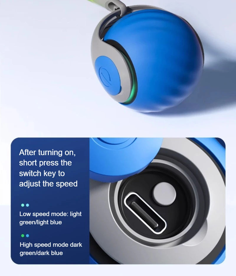 Interactive Cat Toys Ball Automatic Rolling Smart Ball with Faux Tail USB Rechargeable Electric Pet Toy for Teaser and Training