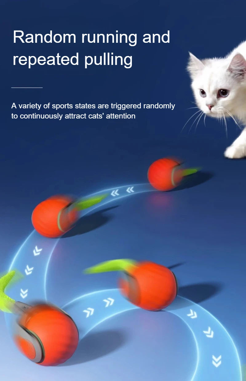 Interactive Cat Toys Ball Automatic Rolling Smart Ball with Faux Tail USB Rechargeable Electric Pet Toy for Teaser and Training