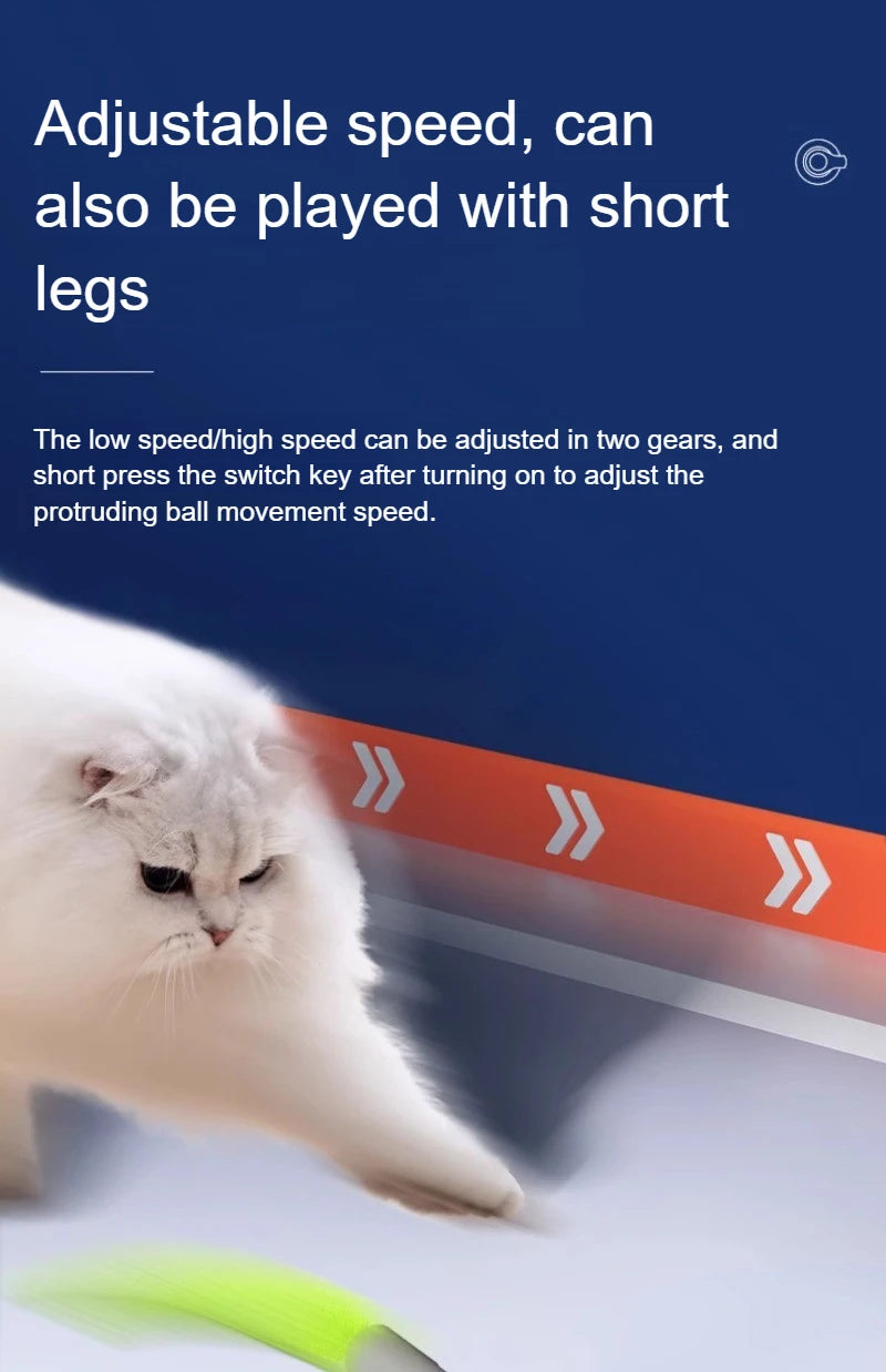 Interactive Cat Toys Ball Automatic Rolling Smart Ball with Faux Tail USB Rechargeable Electric Pet Toy for Teaser and Training