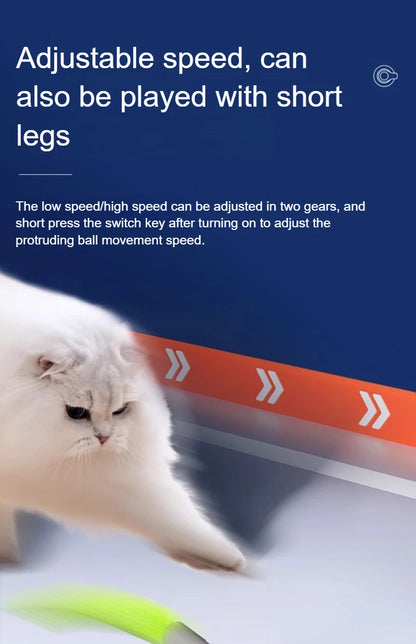 Interactive Cat Toys Ball Automatic Rolling Smart Ball with Faux Tail USB Rechargeable Electric Pet Toy for Teaser and Training